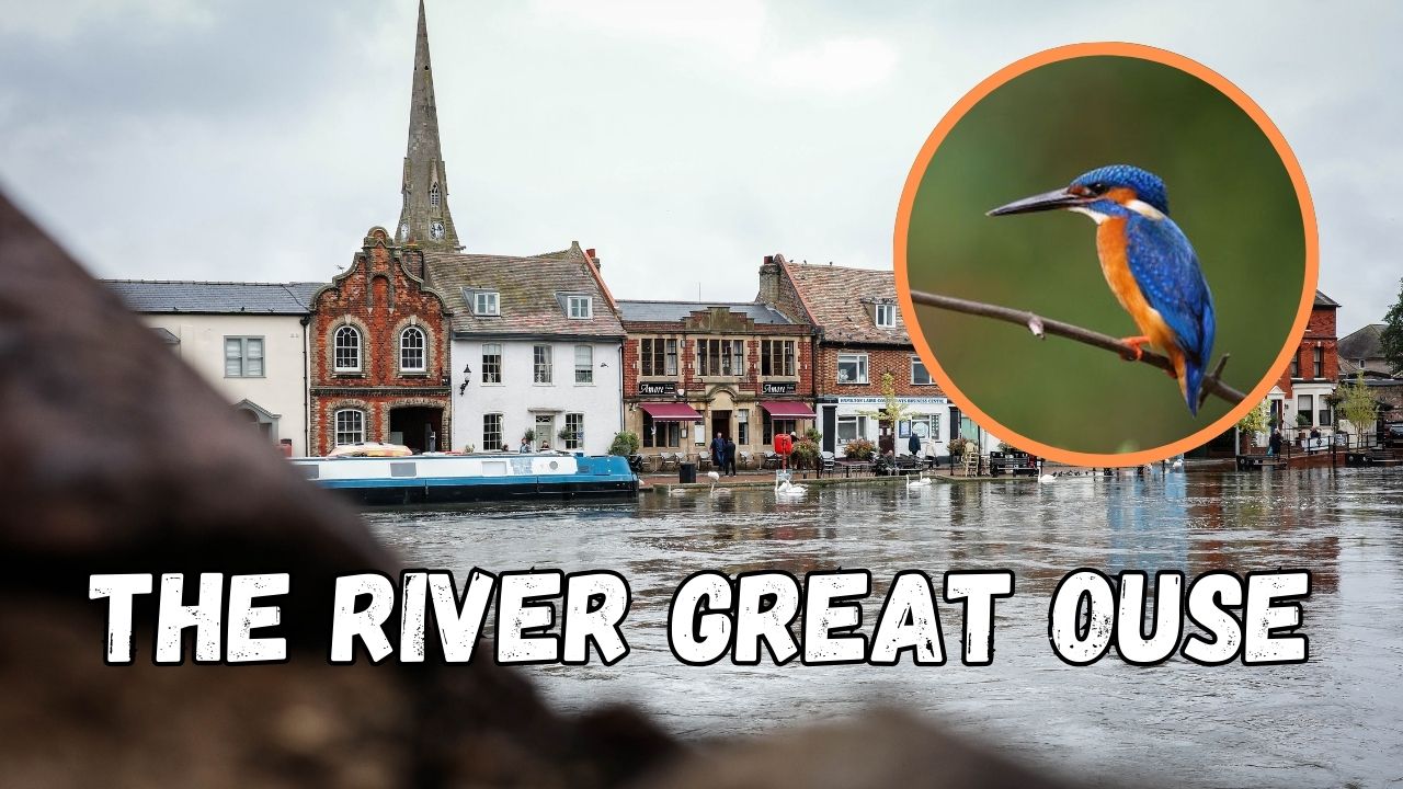 The River Great Ouse